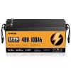 48V 100AH LiFePO4 Battery