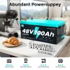 ecoboss 48v 100ah lifepo4 battery