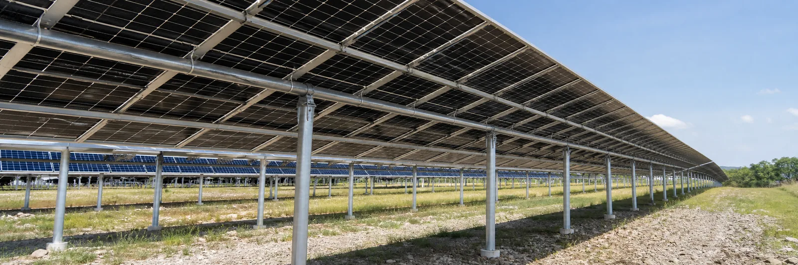 Underside of a ground-mounted bifacial solar array showing racking and clearance